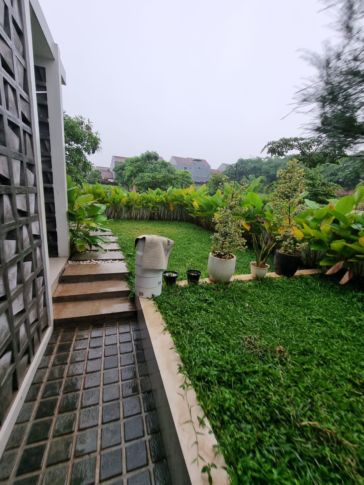 WhatsApp Image 2024-08-14 at 16.57.05